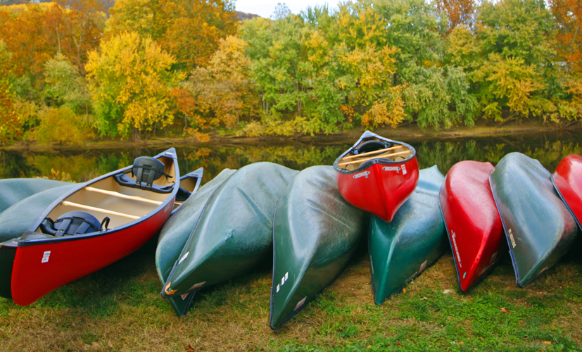 Several canoes lined up on a river bank
